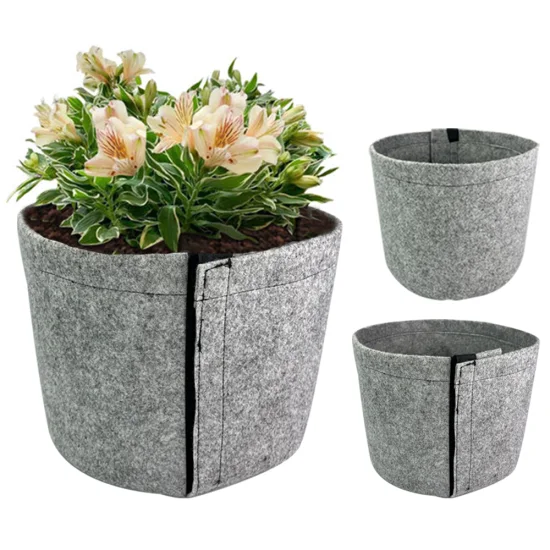 Nuovo modello di vasi da fiori Lifestyle Firm Plant Grow Borse